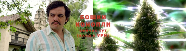 гашик Магас