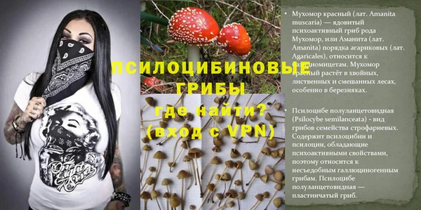 мет Магадан