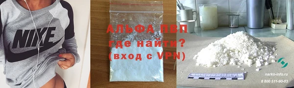 гашик Магас